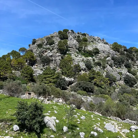 El Endrinal Διαμέρισμα